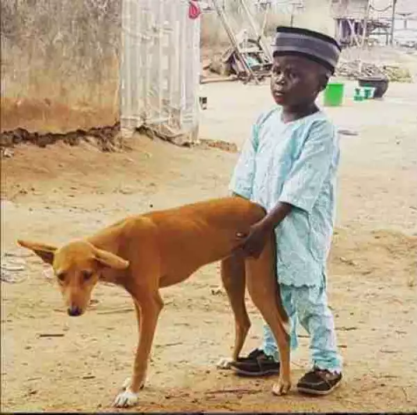Hilarious Photo:- A Boy Caught Teaching His Padi, How To Doggy (Photo) (18+)